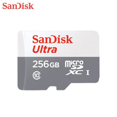 SanDisk Ultra 256GB Micro SD Card